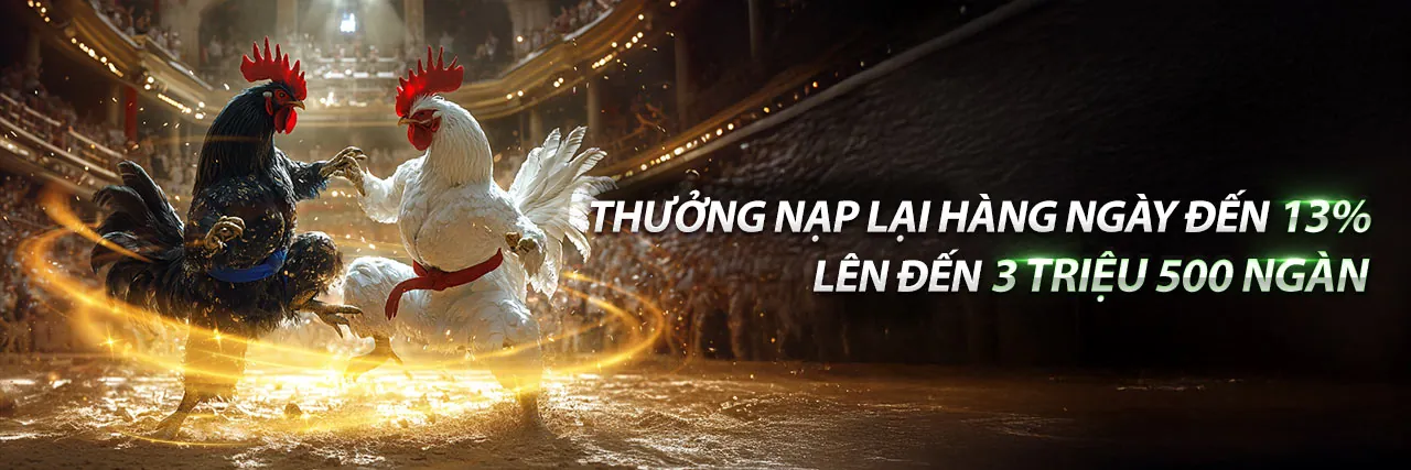 Mẹo chơi đá gà hiệu quả tại hi8802 khuyến mãi